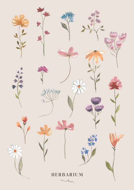 Kaverini Herbarium juliste 